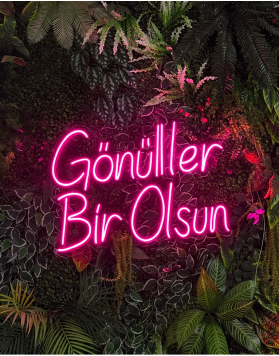 Gönüller Bir Olsun Neon Tabela