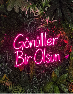 Gönüller Bir Olsun Neon Tabela